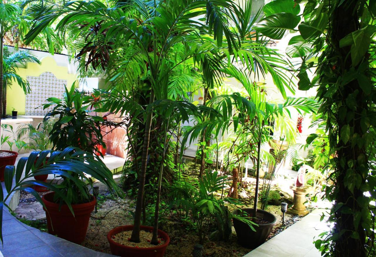 Apartahotel Maya By Lhmg Playa del Carmen